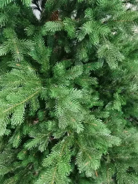 Изображение товара Ель искусственная Царь елка Астерия премиум 210 см 3D АСТР/ПР-210