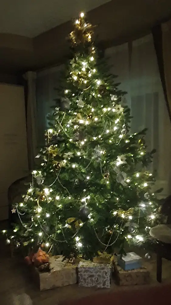 Изображение товара Ель искусственная Царь елка Раскидистая премиум РДП-240