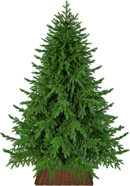 Изображение товара Ель искусственная Царь елка Раскидистая премиум / РДП-210