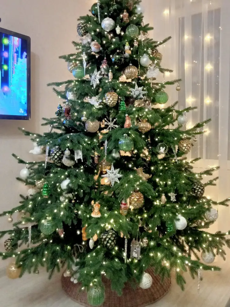 Изображение товара Ель искусственная Царь елка Раскидистая премиум / РДП-210