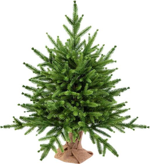 Изображение товара Ель искусственная Царь елка Инфинити / ИнФ-60