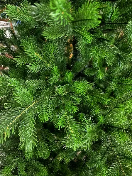 Изображение товара Ель искусственная Царь елка Астерия премиум АСТР/ПР-180