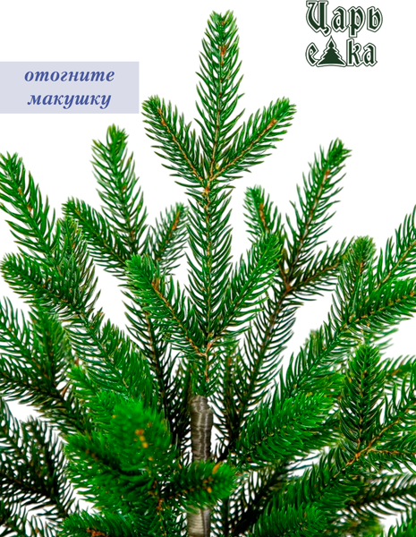 Изображение товара Ель искусственная Царь елка Оникс / ОКС-60
