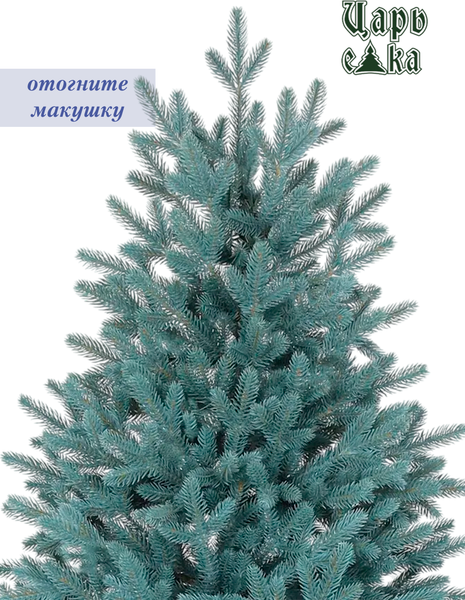 Изображение товара Ель искусственная Царь елка Адель / АДЛ/ГЛ-210 (голубой)