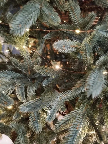 Изображение товара Ель искусственная Царь елка Адель / АДЛ/ГЛ-210 (голубой)