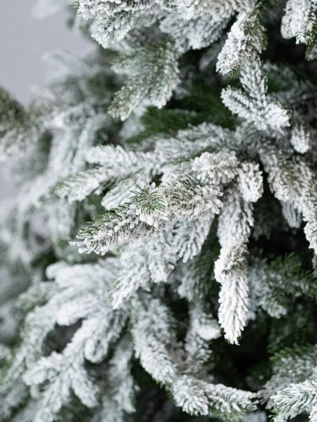 Изображение товара Ель искусственная Царь елка Раскидистая премиум заснеженная / РДП/ЗСНЖ-210