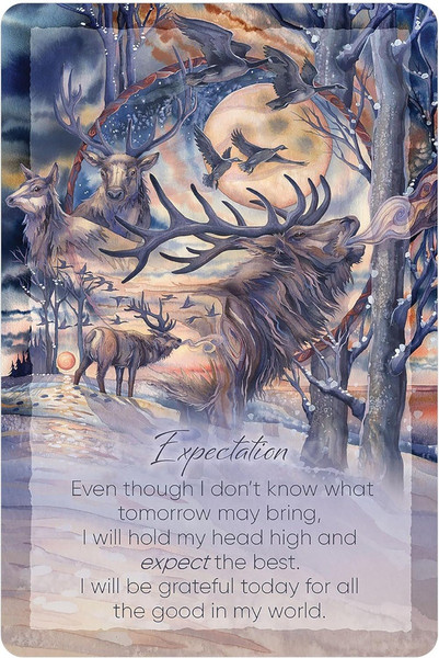 Изображение товара Гадальные карты U.S. Games Systems The Light Within Affirmation Cards / TLW54