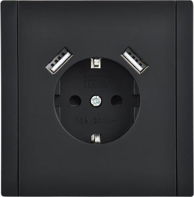 Изображение товара Розетка IEK Forte&Piano FP-R14-16-U21-D31-K02 (черный)
