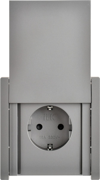 Изображение товара Розетка IEK Forte&Piano FP-R16-16-44-K46 (стальной)