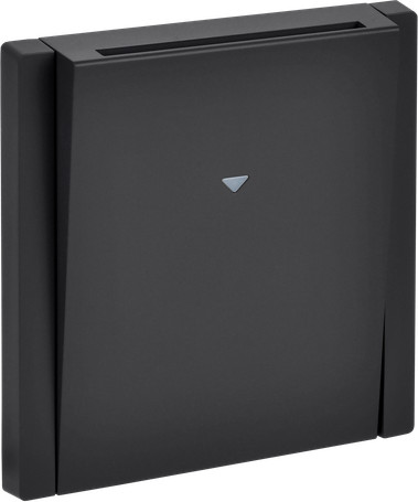 Изображение товара Выключатель IEK Forte&Piano FP-V11-0-10-1-K02 (черный)