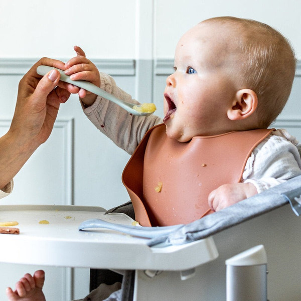 Изображение товара Набор столовых ложек для кормления Beaba Set Of 2 1st Age Silic Spoons + Box 913600 (синий/зеленый )