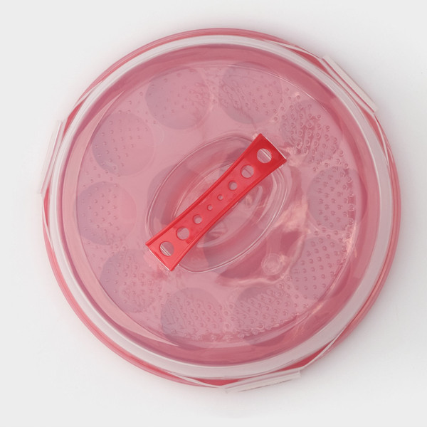 Изображение товара Емкость для хранения выпечки Доляна 2466016 (красный)