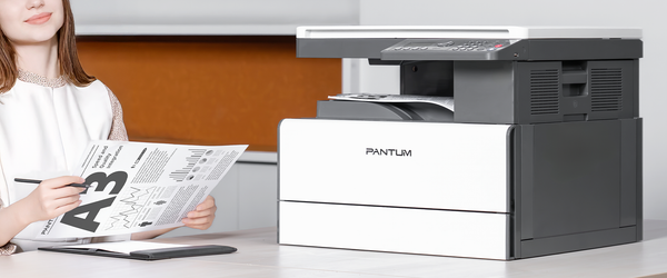 Изображение товара МФУ Pantum BM230N