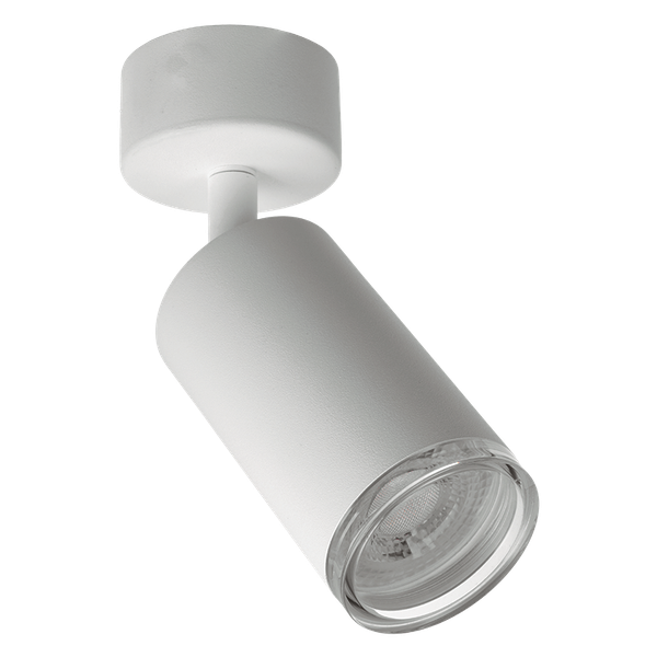 Изображение товара Точечный светильник Wolta WSL-GU10/S14W