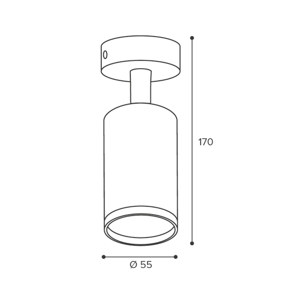 Изображение товара Точечный светильник Wolta WSL-GU10/S14W