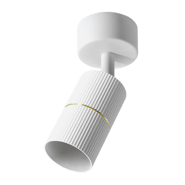 Изображение товара Точечный светильник Wolta WSL-GU10/18WG-2