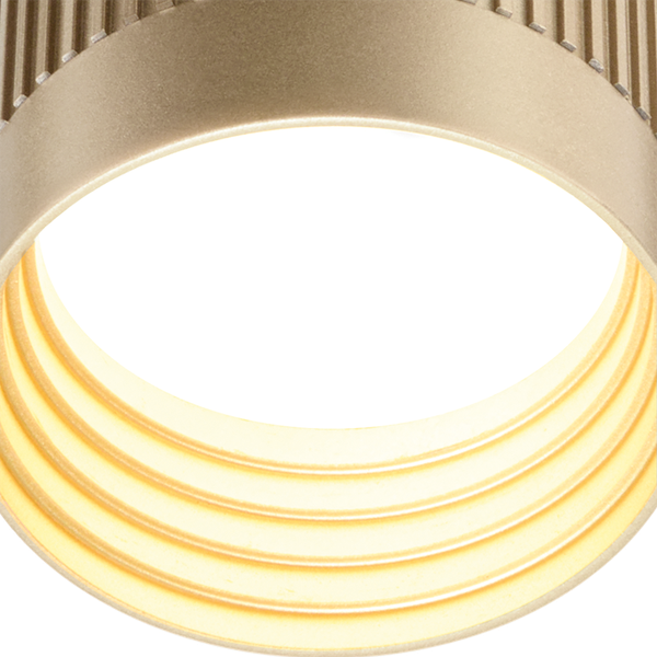 Изображение товара Точечный светильник Wolta WSL-GU10/19SG