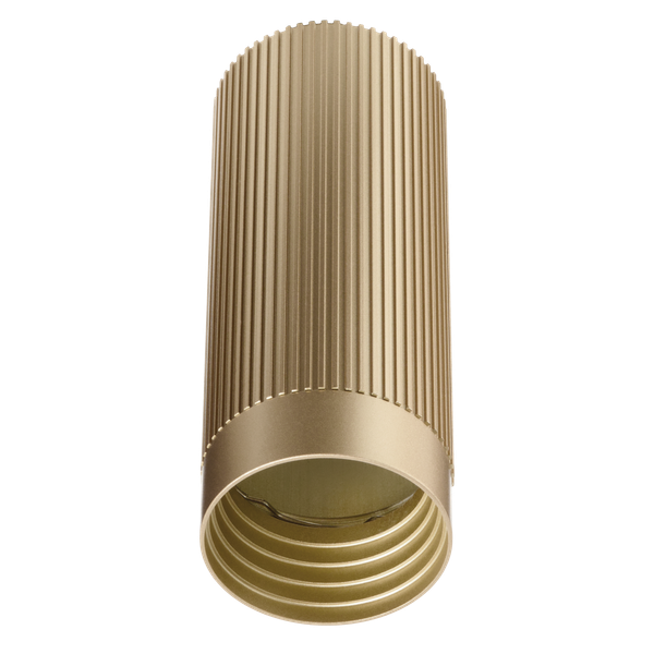 Изображение товара Точечный светильник Wolta WSL-GU10/19SG