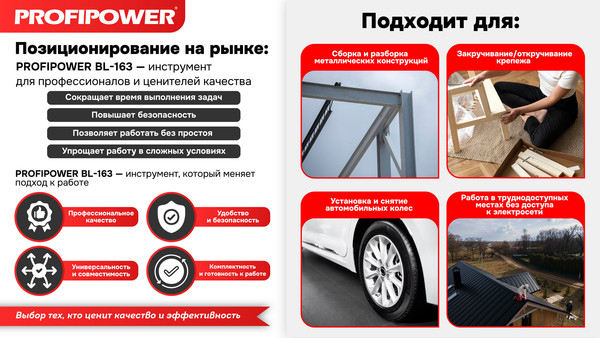 Изображение товара Аккумуляторный гайковерт Profipower BL-163 / E0212