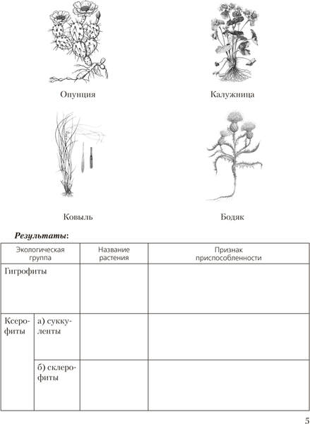 Изображение товара Рабочая тетрадь Аверсэв Биология 10 кл Для лаборат. и практич работ базовый уровень 2025 (9789851990562)