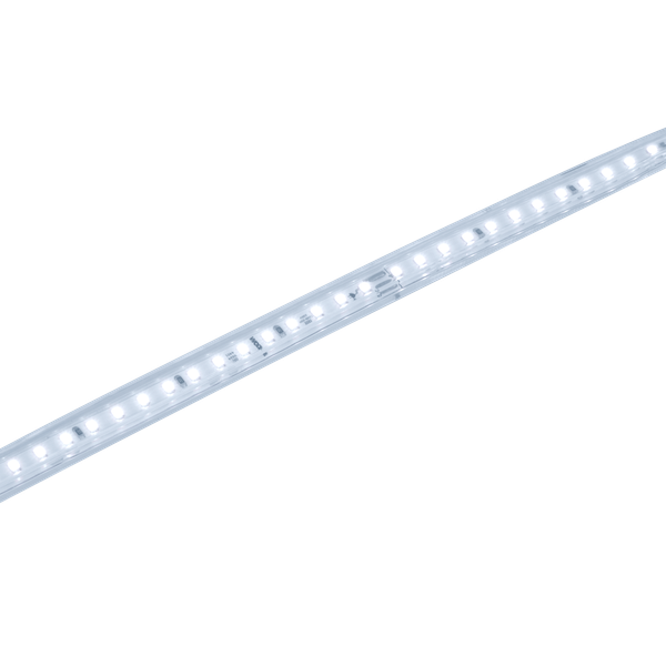 Изображение товара Светодиодная лента Wolta WLS-220V-2835-10W/6500/S120