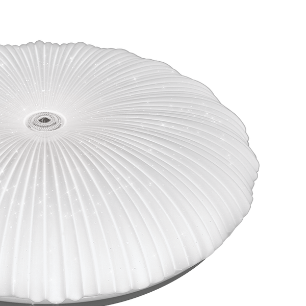 Изображение товара Потолочный светильник LuminArte CLL54