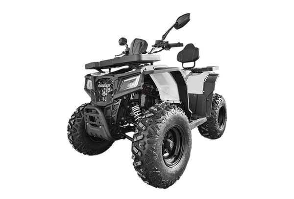 Изображение товара Квадроцикл Progasi RaceJumper 200 SE (Nardo grey)