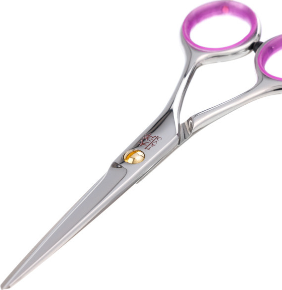 Изображение товара Ножницы парикмахерские TAYO Classic 5.5" / DS17855