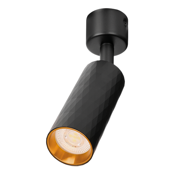 Изображение товара Спот Wolta WSL-MR11/S17BG