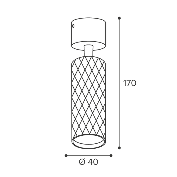 Изображение товара Спот Wolta WSL-MR11/S17BG