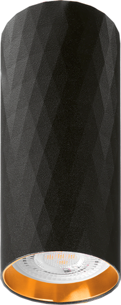 Изображение товара Точечный светильник Wolta WSL-MR11/17BG