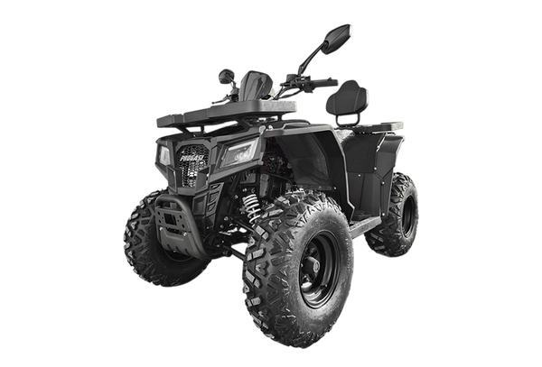 Изображение товара Квадроцикл Progasi RaceJumper 200 SE (Black satin)