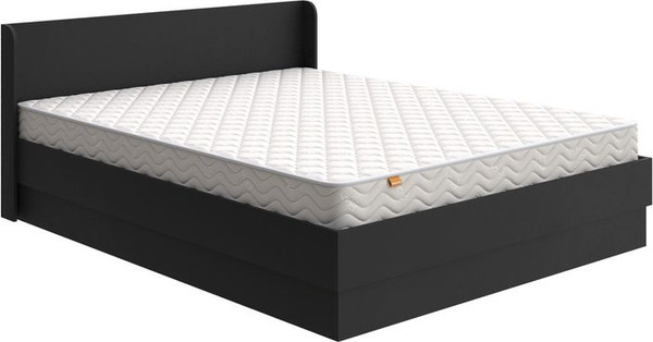 Изображение товара Двуспальная кровать Proson Practica с ПМ 160x190 (черный)