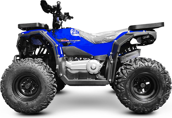 Изображение товара Квадроцикл Progasi RaceJumper 200 SE (Blue ocean)