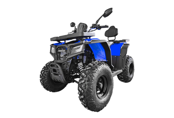 Изображение товара Квадроцикл Progasi RaceJumper 200 SE (Blue ocean)