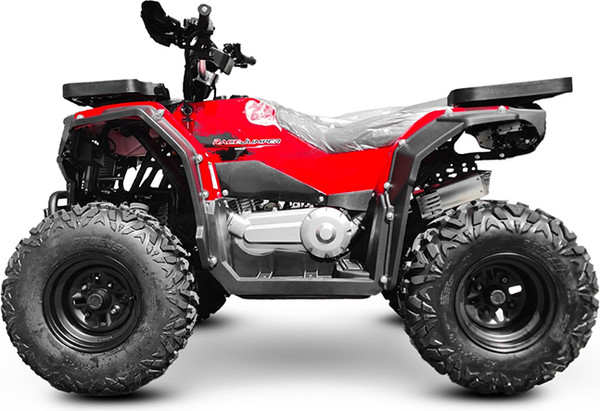 Изображение товара Квадроцикл Progasi RaceJumper 200 SE (Chili red)