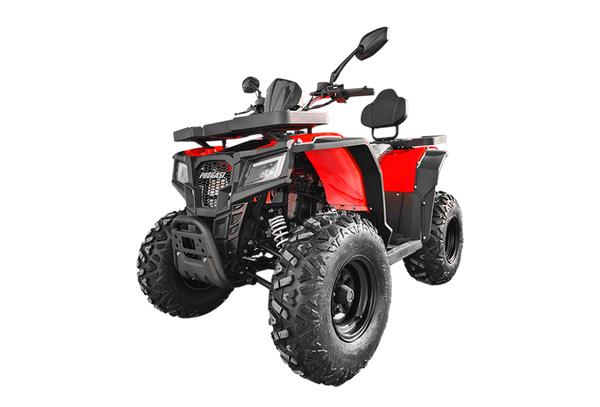Изображение товара Квадроцикл Progasi RaceJumper 200 SE (Chili red)
