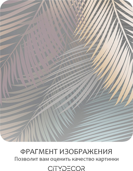 Изображение товара Фотообои листовые Citydecor Пальмовые листья 78 (500x260см)