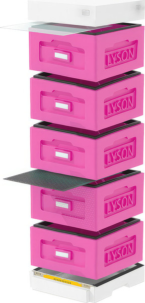 Изображение товара Улей Lyson Рута На 10 Рамок / WR5PW (розовый/неокрашенный)