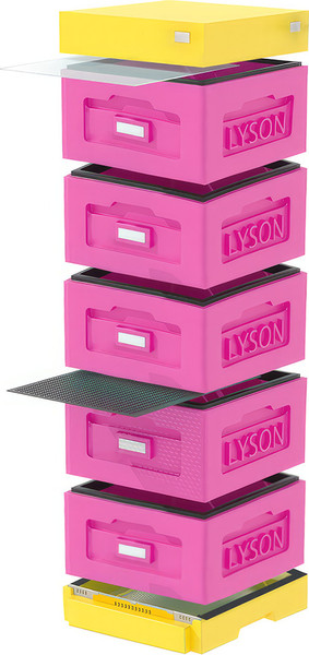 Изображение товара Улей Lyson Рута На 10 Рамок / WR5PY (розовый/желтый)