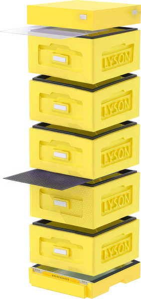 Изображение товара Улей Lyson Рута На 10 Рамок / WR5YY (желтый/желтый)