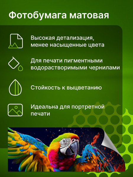 Изображение товара Фотобумага Cactus A6 10x15 250г/м2 / CS-MA6250500ED (500л, матовый)