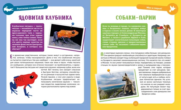 Изображение товара Энциклопедия Махаон Невероятные животные (Альбуи В. 9785389275027)