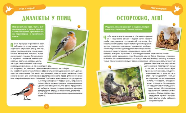 Изображение товара Энциклопедия Махаон Невероятные животные (Альбуи В. 9785389275027)