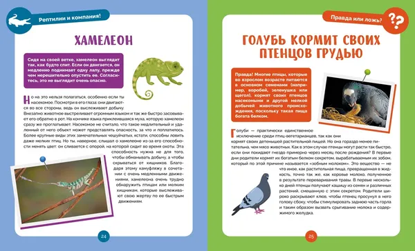 Изображение товара Энциклопедия Махаон Невероятные животные (Альбуи В. 9785389275027)