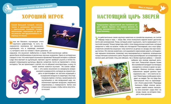Изображение товара Энциклопедия Махаон Невероятные животные (Альбуи В. 9785389275027)