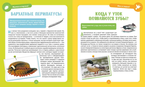 Изображение товара Энциклопедия Махаон Невероятные животные (Альбуи В. 9785389275027)