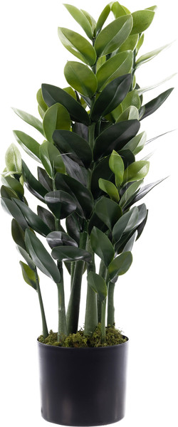 Изображение товара Искусственное растение Sundays Home Денежное дерево / BC10104 (75см)