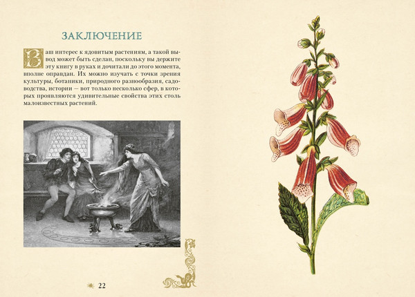 Изображение товара Книга КоЛибри Яды. Секретная сила растений (Лаис Э. 9785389277465)