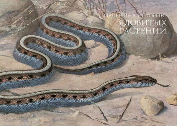 Изображение товара Книга КоЛибри Яды. Секретная сила растений (Лаис Э. 9785389277465)